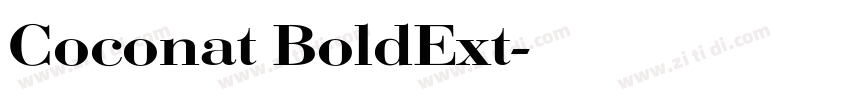 Coconat BoldExt字体转换